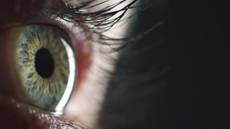 hacer zoom en el ojo, la visión y el iris de seguridad cibernética