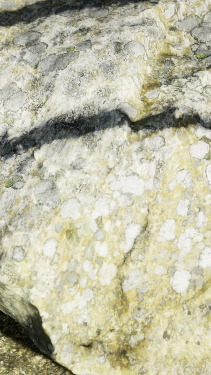 Vista ravvicinata di una superficie rocciosa con texture, con motivi naturali e ombre.