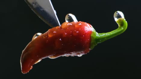 up side down red chili pepper stuck on knife rotating in black background