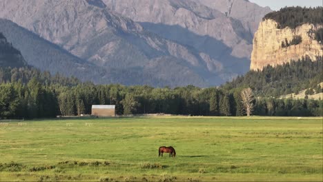 a lone horse grazes in a vast green meadow with mountains in the background at sunset
