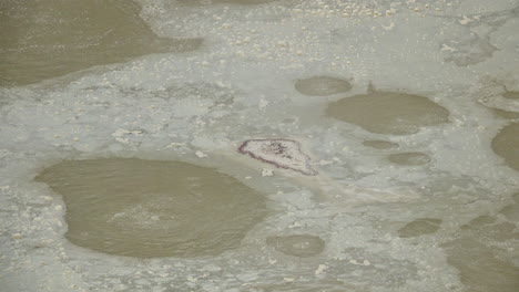 los depósitos minerales flotan sobre el agua hirviendo de una fuente termal geotérmica