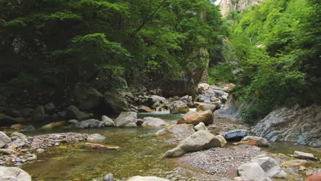 Clear-shallow-river-with-stones-in-the-wild-surrounded-by-rocks-and-greenery