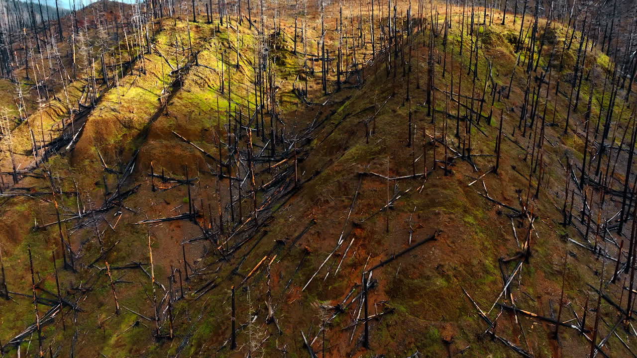 American mountains outdoors. Portland aerial view landscapes.