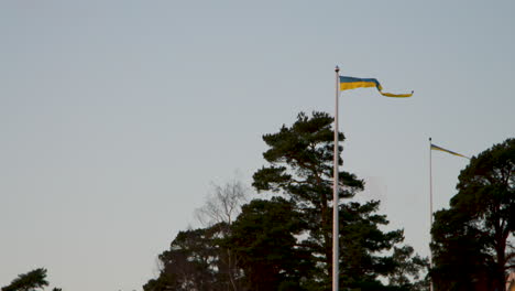 Zwei-Schwedische-Fahnen-Wehen-In-Zeitlupe-Im-Wehenden-Wind