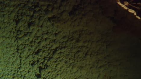 close-up view of a textured cave wall