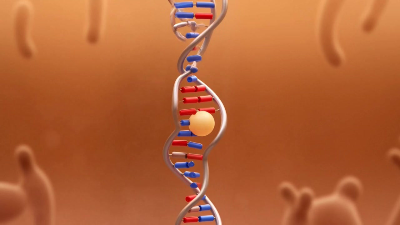 3D Animation of DNA Strand Unzipping and Replication