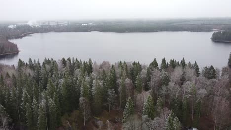 Lago-Rodeado-De-Bosque-Con-Escarcha-Y-Fábrica-A-Distancia