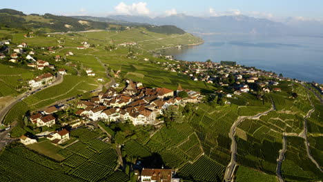 casas en el pueblo de grandvaux con vistas panorámicas de exuberantes viñedos verdes y el lago de ginebra en suiza