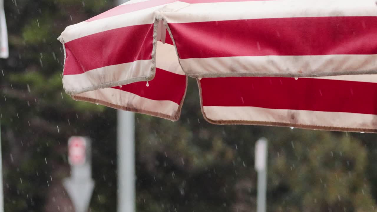 은 줄무 우산에 비가 내리고 있다