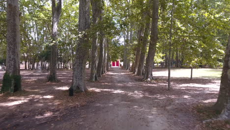 vista aérea moviéndose hacia una gran puerta roja en un camino con árboles. día soleado