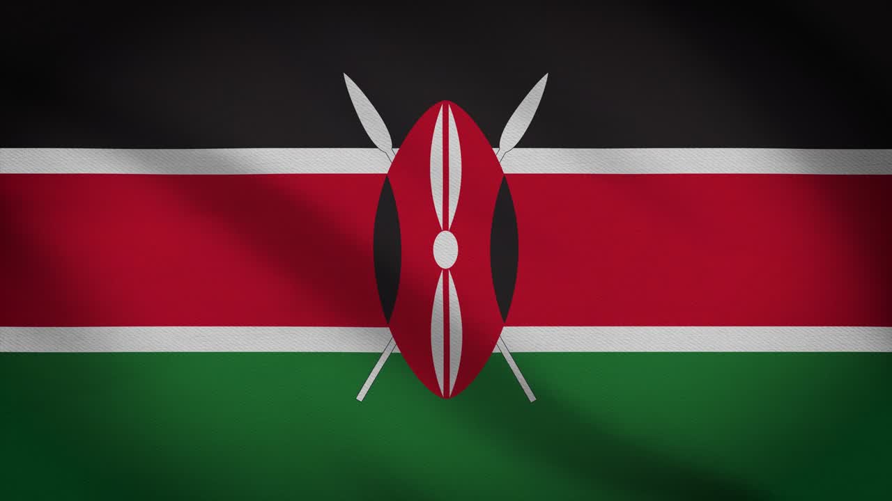 bandera ondeando en el fondo del viento