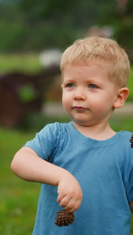 funny little boy in blue t-shirt shows small dry pine cones standing on playground in eco hotel yard in forest close view slow motion