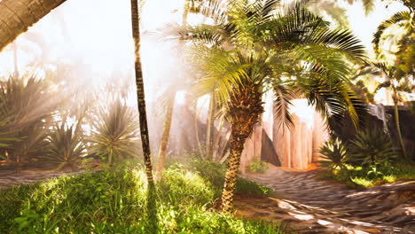 tropical paradise with palm trees and sunlight