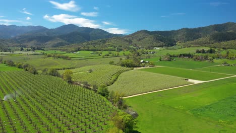 Aerial-view-of-valley-filled-with-fruit-orchards,-Southern-Oregon