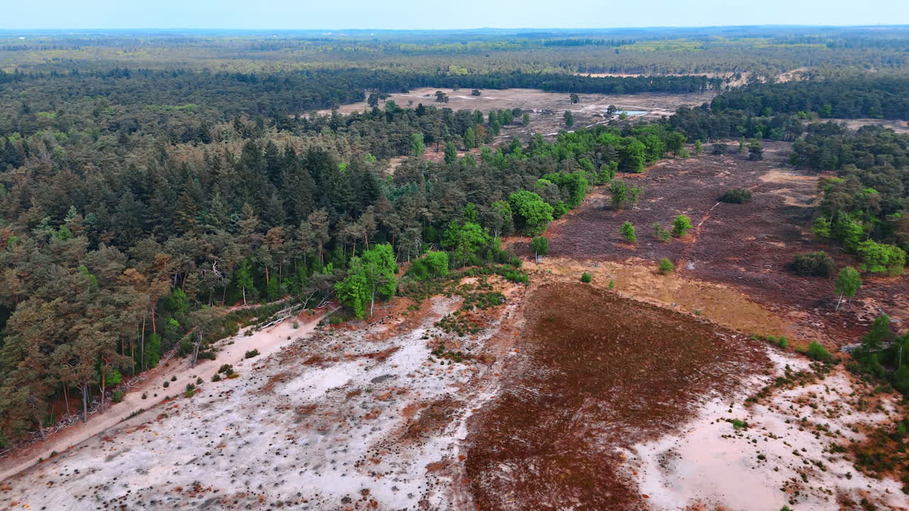 Dutch spring landscape. Lush greenery and diverse terrain characterize this beautiful spring landscape in the Netherlands. Peaceful and vibrant