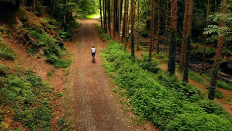 Mann-Fährt-Fahrrad-Im-Wald-4k