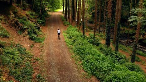 Man-riding-cycle-in-the-forest-4k