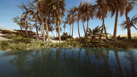 Oasis-lake-in-desert-surrounded-high-yellow-sand-dunes