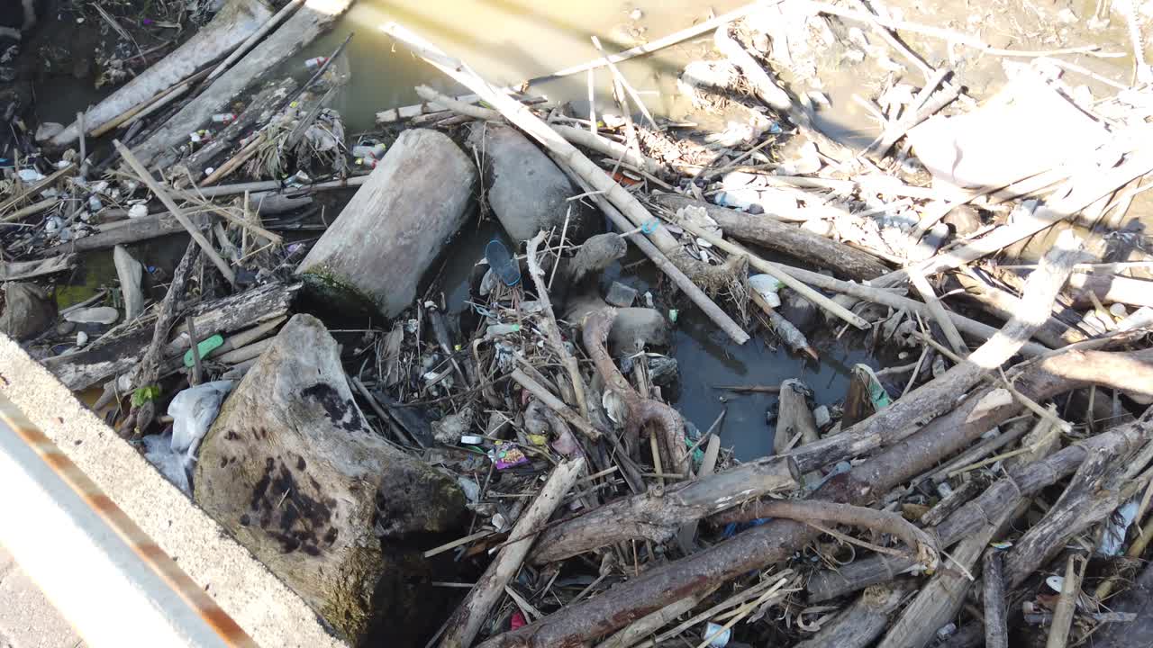 인도네시아 발리의 플라스틱 쓰레기로 막힌 강, 오염된 자연 환경, 정체된 나무