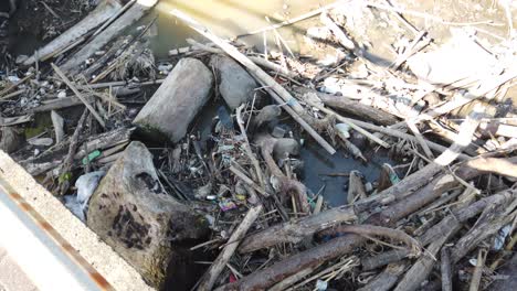 river blocked with plastic trash in bali indonesia polluted natural environment, stagnant wood