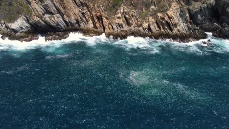 Circular-drone-flight-over-a-concentration-of-many-"cannonball"-jellyfish-near-a-beach