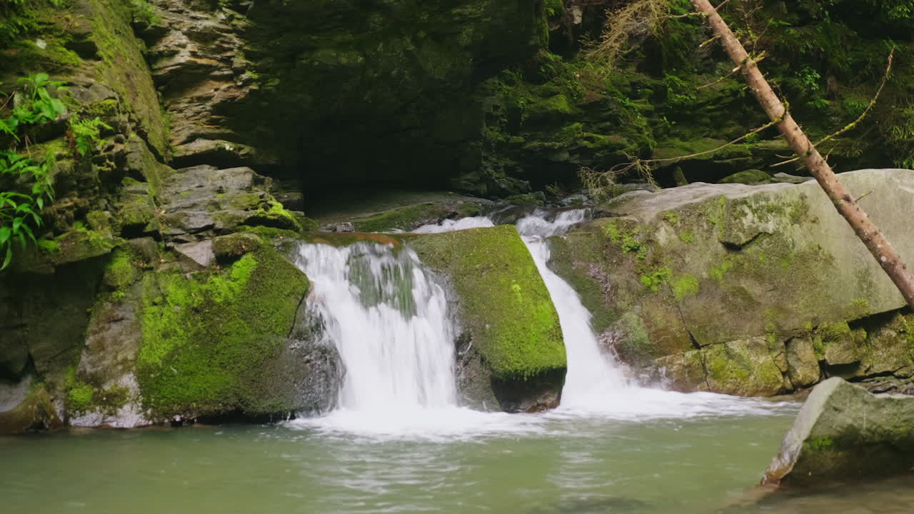 한 쌍의 젊은 관광객이 작은 hd 비디오 근처의 숲에서 자연을 즐깁니다.