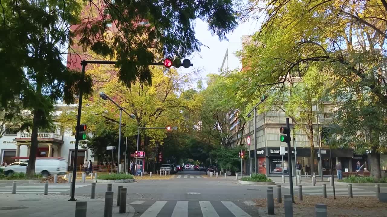Static shot waiting for the traffic light to change at the intersection of Presidente Masarik Avenue in the Polanco neighborhood of Mexico City