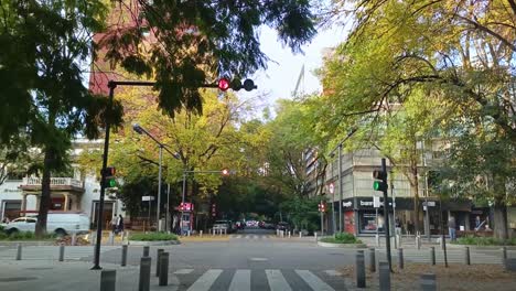 static shot waiting for the traffic light to change at the intersection of presidente masarik avenue in the polanco neighborhood of mexico city