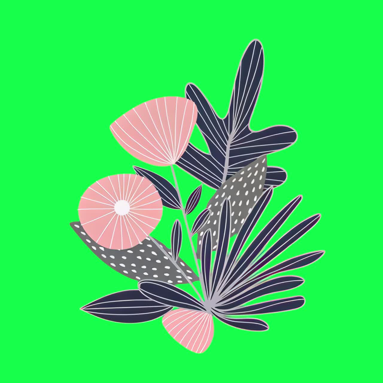 Vibrant abstract floral design animation, transparent 4K video, green screen