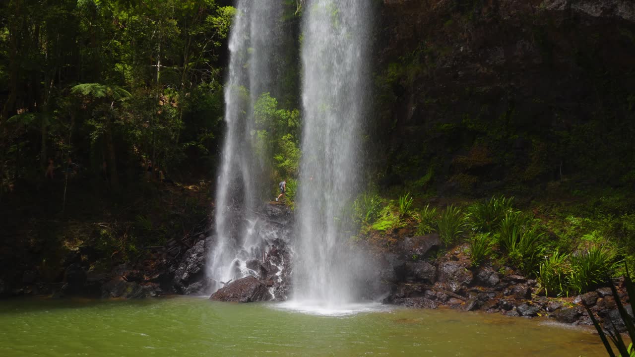 parque nacional springbrook, circuito de caída doble en medio del bosque
