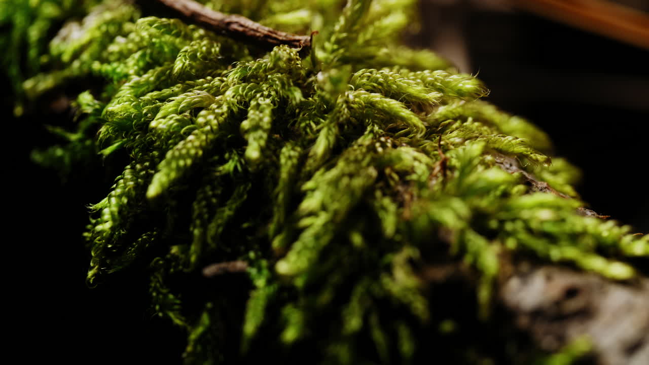 The tropical vegetation in this area is sparse, consisting of small patches of greenery scattered across the landscape