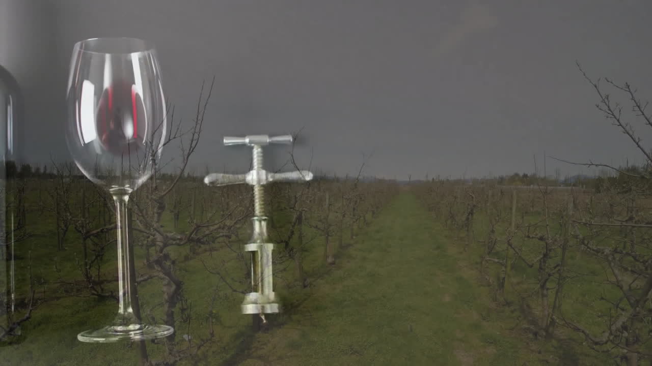 유리, 은 와인 병 및 포도원 배경 위에 코크 스크루의 복합