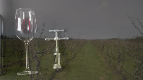 composite of glass, bottle of red wine and corkscrew over vineyard background