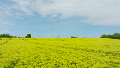 Aerial-establishing-view-of-wind-turbines-generating-renewable-energy-in-the-wind-farm,-blooming-yellow-rapeseed-fields,-countryside-landscape,-sunny-spring-day,-low-drone-shot-moving-forward