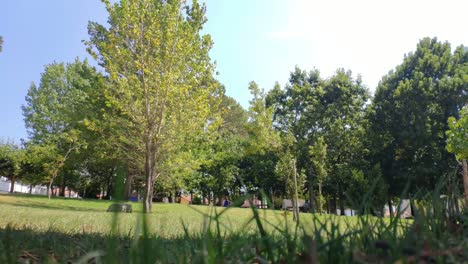 Niños-Jugando-Alrededor-De-Los-árboles-Del-Parque-Público-Ajardinado,-Hojas-Movidas-Por-El-Viento,-Día-Claro-Y-Soleado-De-Verano,-Tiro-Panorámico-Bloqueado