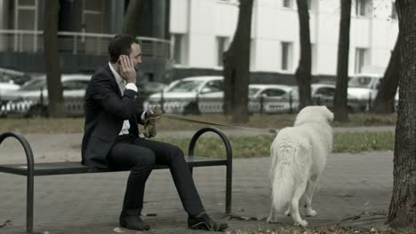 business man with his white dog talking by phone another black dog at background