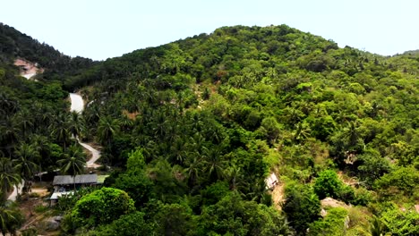 Aerial-view-of-the-jungle-on-the-island-of-Koh-Tao-near-Ao-Hin-Wong-beach,-Thailand