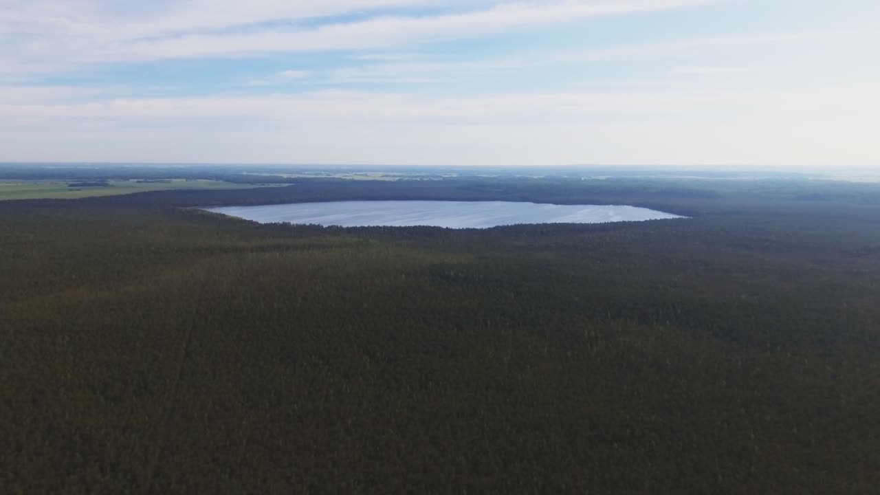 Sø i et sumpet skovområde omgivet af træer. Aerial Slow Dolly-In 60fps optagelse