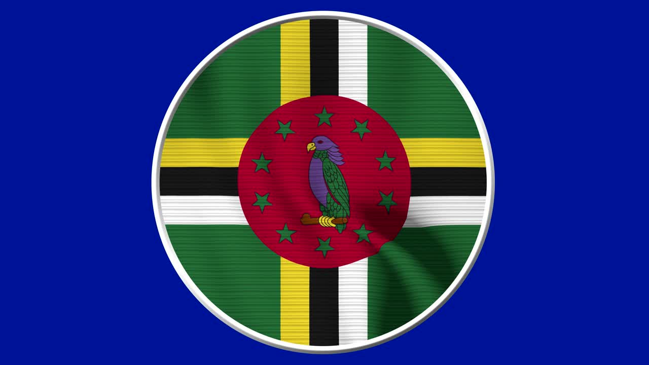 Dominicas cirkulære flagløkke - Realistisk 4K flag, der blafrer i vinden