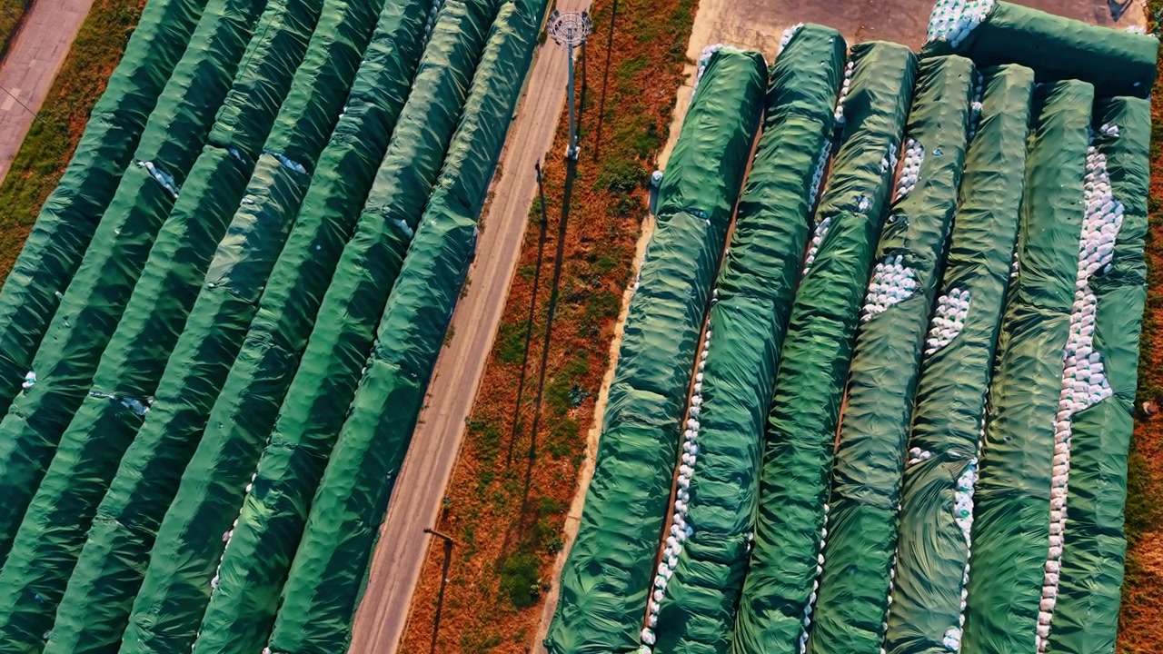 Aerial view of long green storage covers along dirt road. Rows of covered agricultural material stretch across open field in sunlight.