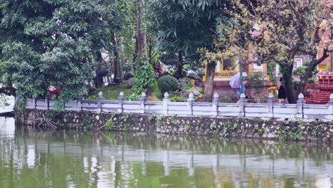 serene park view with trees and water