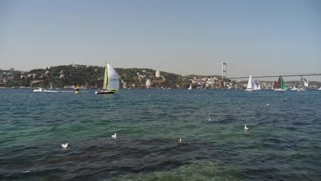 sailing boats on the bosphorus strait