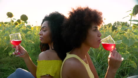 mujeres bebiendo en un picnic