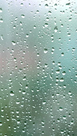rain drops on the glass vertical video