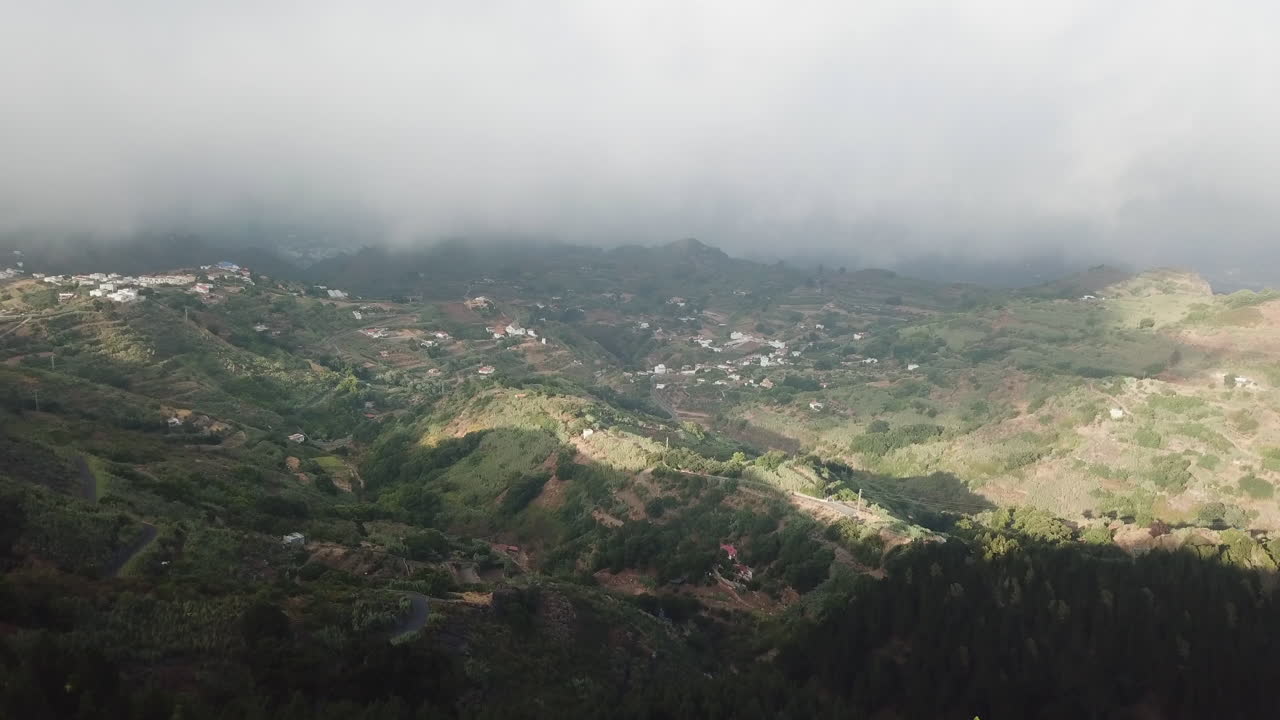 volando a través del bosque de pinos y las grandes nubes durante la puesta del sol