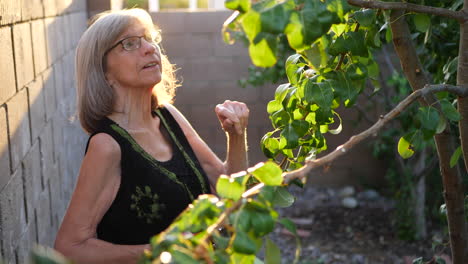 An-elderly-woman-smiling-with-joy-clipping-branches-and-pruning-a-pear-fruit-tree-in-her-orchard-garden-at-sunset