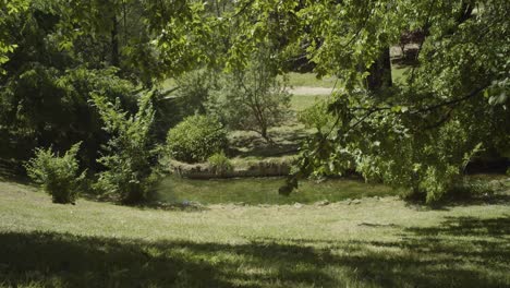 little pond in a park on a sunny day