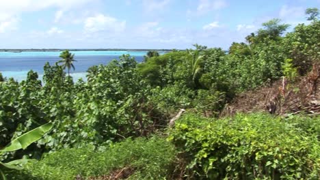 Landschaft-In-Borabora,-Französisch-Polynesien