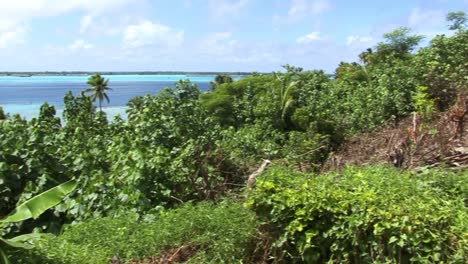 landscape in bora bora, french polynesia