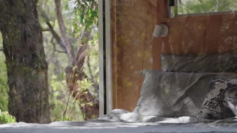 Trees-reflecting-in-window-of-tiny-cabin-located-in-a-national-park-forest